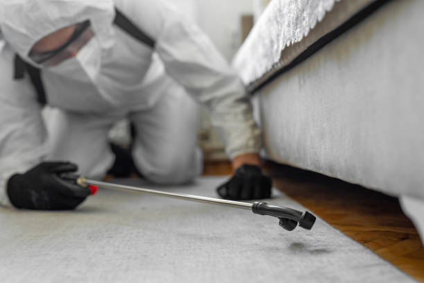 Professional Termite Control technician working in Okauchee Lake, WI