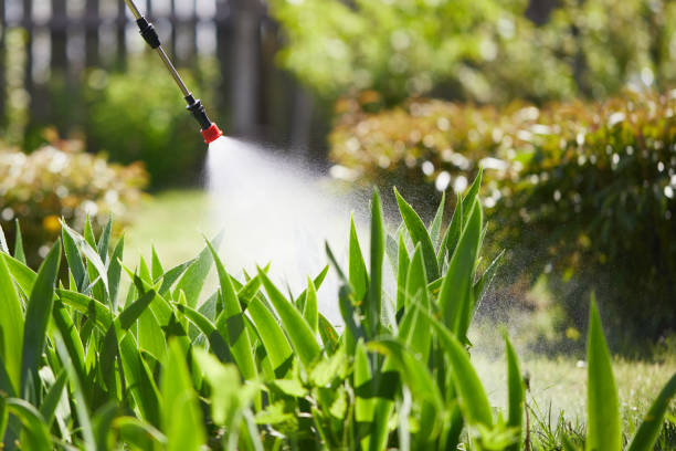 24/7 Emergency Termite Control experts in Okauchee Lake, WI