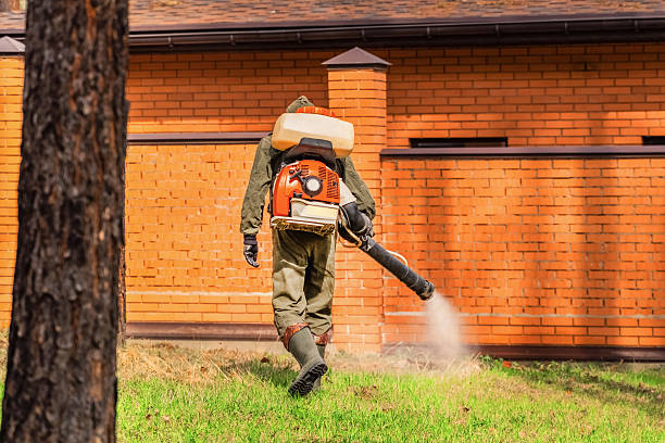 Trusted Bed Bug Control service in Okauchee Lake, WI - Nex Pest Control
